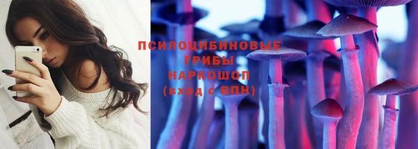 прущие крисы Богородск