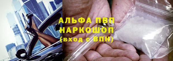 крисы Беломорск